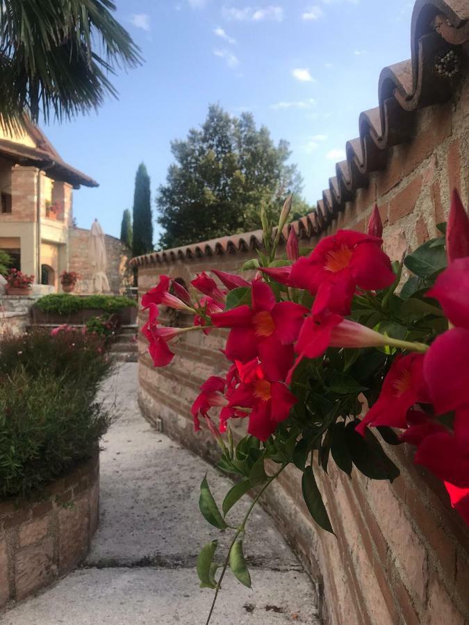 Residenza Le Querce Trilocale Villa Fossato di Vico Eksteriør bilde
